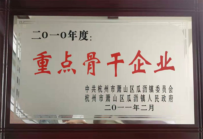 重點骨干企業(yè)